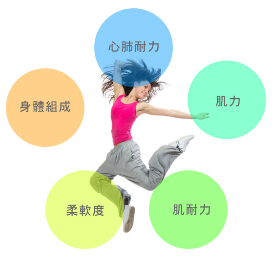台灣癌症基金會 體適能定義 台灣癌症基金會 體適能定義